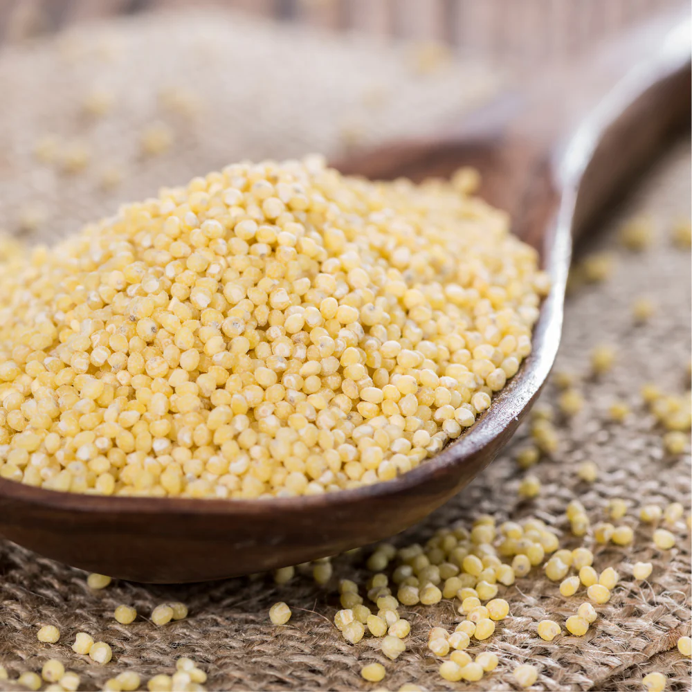 Brown_Top_Millet