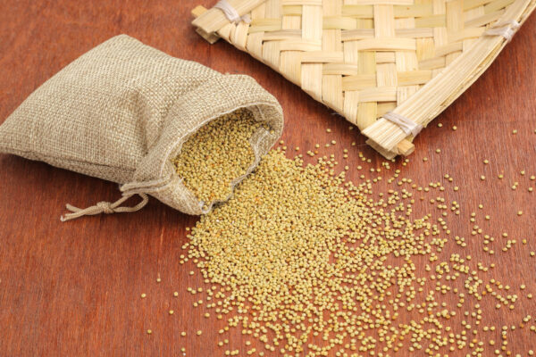 Andu Korralu (Browntop Millet) - Image 3