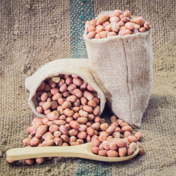 Groundnuts