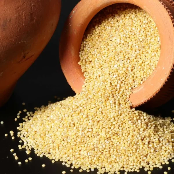 Korralu (Foxtail Millets) - Image 2
