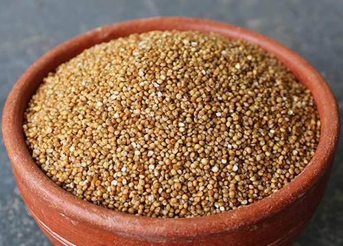organic-barnyard-millet