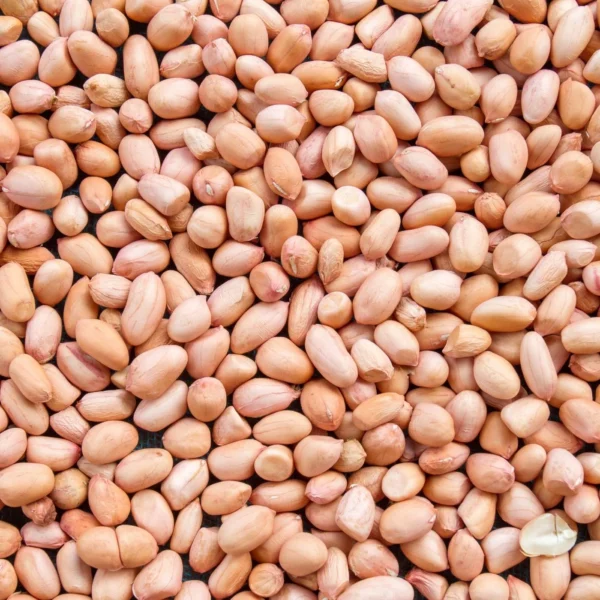 Organic Groundnuts - Image 2