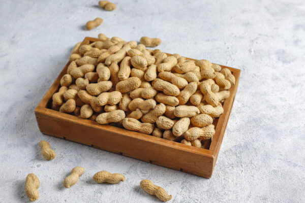Raw organic peanuts in shell