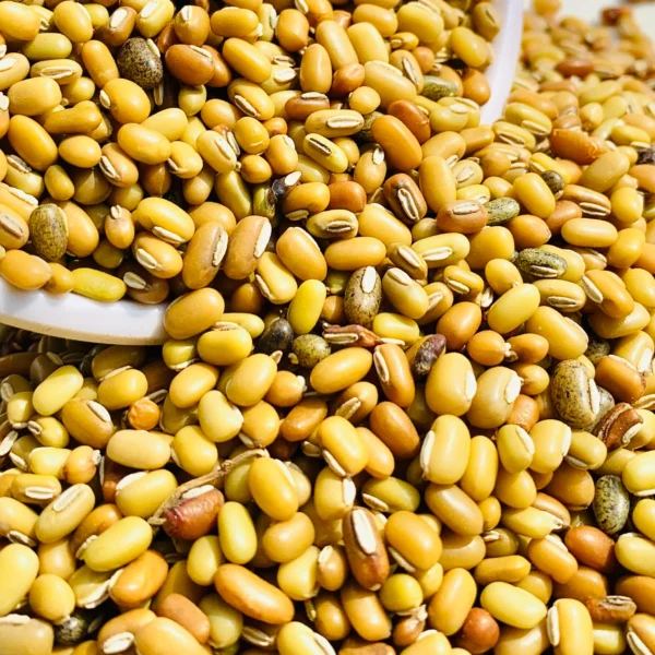 Bobbarlu (Cow Peas) - Image 3