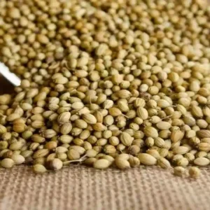 Dhaniyalu (Coriander Seeds)