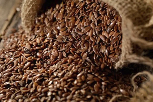 Flak Seeds - Image 3