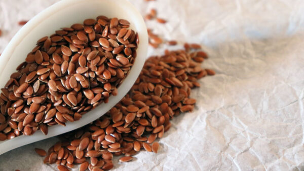 Flak Seeds