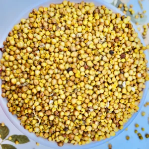 Pacha Jonnalu (Jowar)